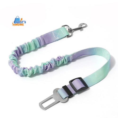 Cinturón de Seguridad para Perros con Cierre de Hebilla – Ajustable y Seguro