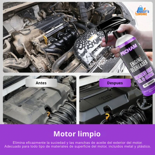 Champú y productos de detailing para coche (473 ml)