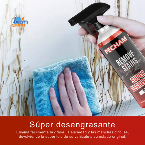 Champú y productos de detailing para coche (473 ml)
