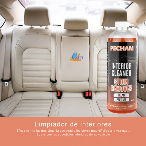 Champú y productos de detailing para coche (473 ml)