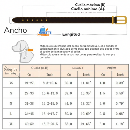 Collar con Pañuelo para Perros y Gatos – Estilo, Comodidad y Encanto