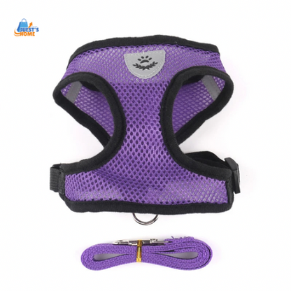 Arnés y Correa Transpirable para Gatos y Perros Pequeños – Reflectante y Ajustable