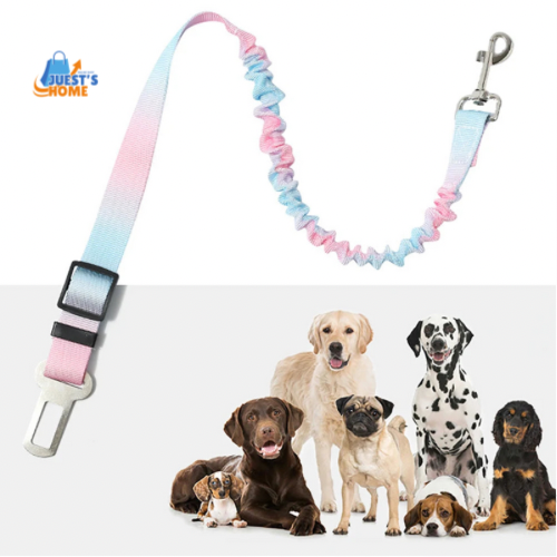 Cinturón de Seguridad para Perros con Cierre de Hebilla – Ajustable y Seguro