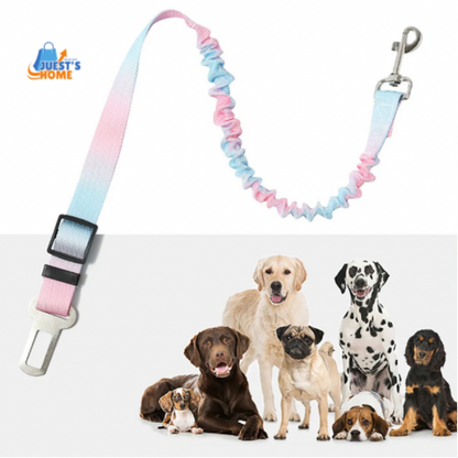 Cinturón de Seguridad para Perros con Cierre de Hebilla – Ajustable y Seguro