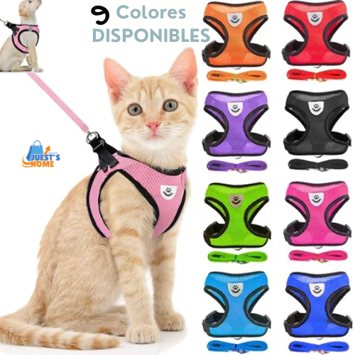 Arnés y Correa Transpirable para Gatos y Perros Pequeños – Reflectante y Ajustable