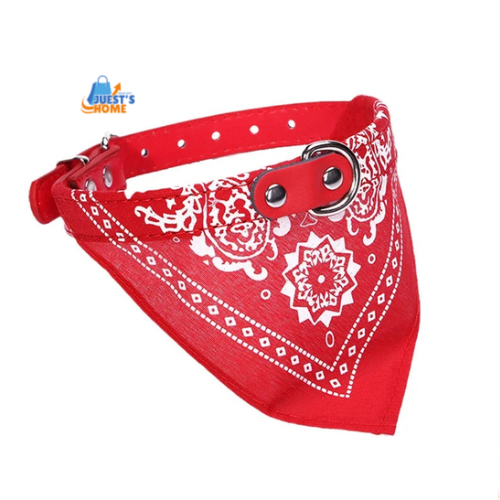 Collar con Pañuelo para Perros y Gatos – Estilo, Comodidad y Encanto