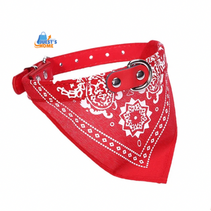 Collar con Pañuelo para Perros y Gatos – Estilo, Comodidad y Encanto