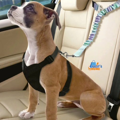 Cinturón de Seguridad para Perros con Cierre de Hebilla – Ajustable y Seguro