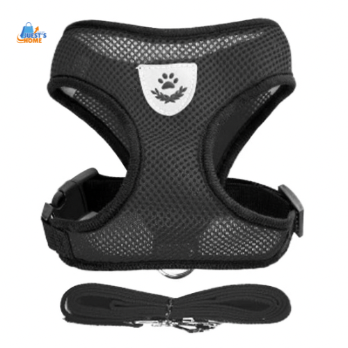 Arnés y Correa Transpirable para Gatos y Perros Pequeños – Reflectante y Ajustable