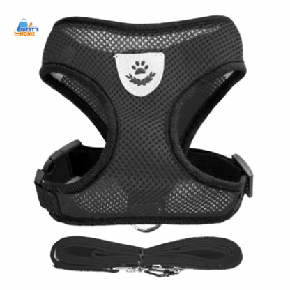 Arnés y Correa Transpirable para Gatos y Perros Pequeños – Reflectante y Ajustable