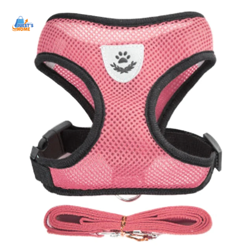 Arnés y Correa Transpirable para Gatos y Perros Pequeños – Reflectante y Ajustable