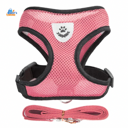 Arnés y Correa Transpirable para Gatos y Perros Pequeños – Reflectante y Ajustable