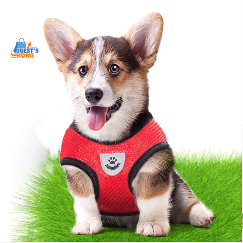 Arnés y Correa Transpirable para Gatos y Perros Pequeños – Reflectante y Ajustable