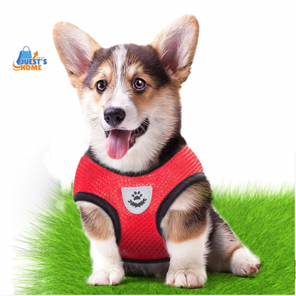 Arnés y Correa Transpirable para Gatos y Perros Pequeños – Reflectante y Ajustable