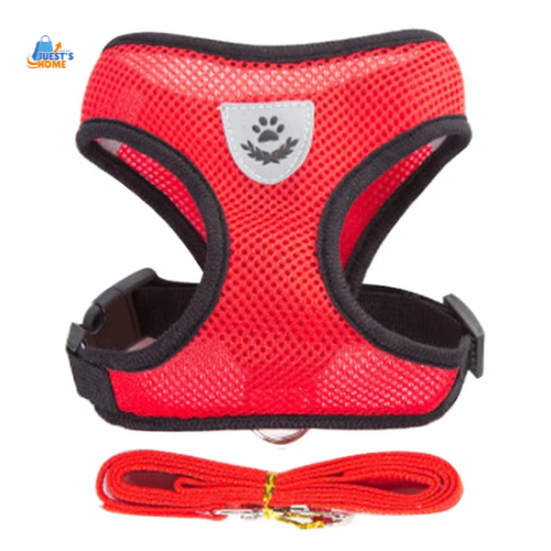 Arnés y Correa Transpirable para Gatos y Perros Pequeños – Reflectante y Ajustable