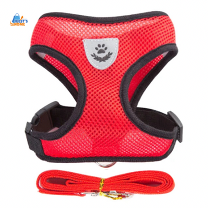 Arnés y Correa Transpirable para Gatos y Perros Pequeños – Reflectante y Ajustable