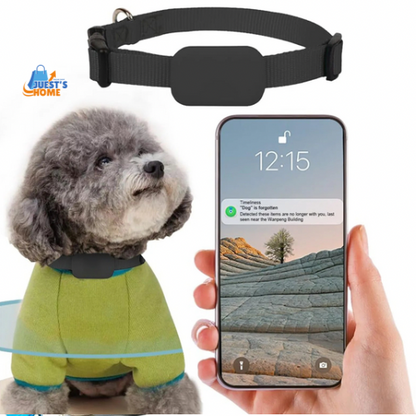 Collar GPS para Mascotas – Rastreo en Tiempo Real sin Cuotas Mensuales